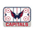 Washington Capitals Ice Rink Pin